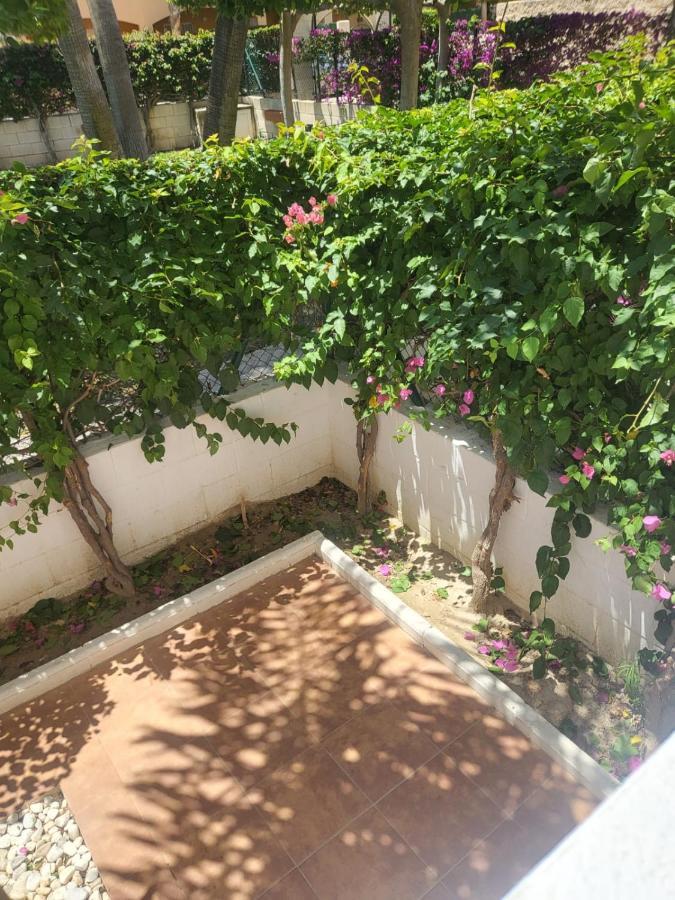 ¡Bajo Precioso Con Salida Directa A La Piscina Comunitaria En Paraiso De Vera! Eksteriør bilde