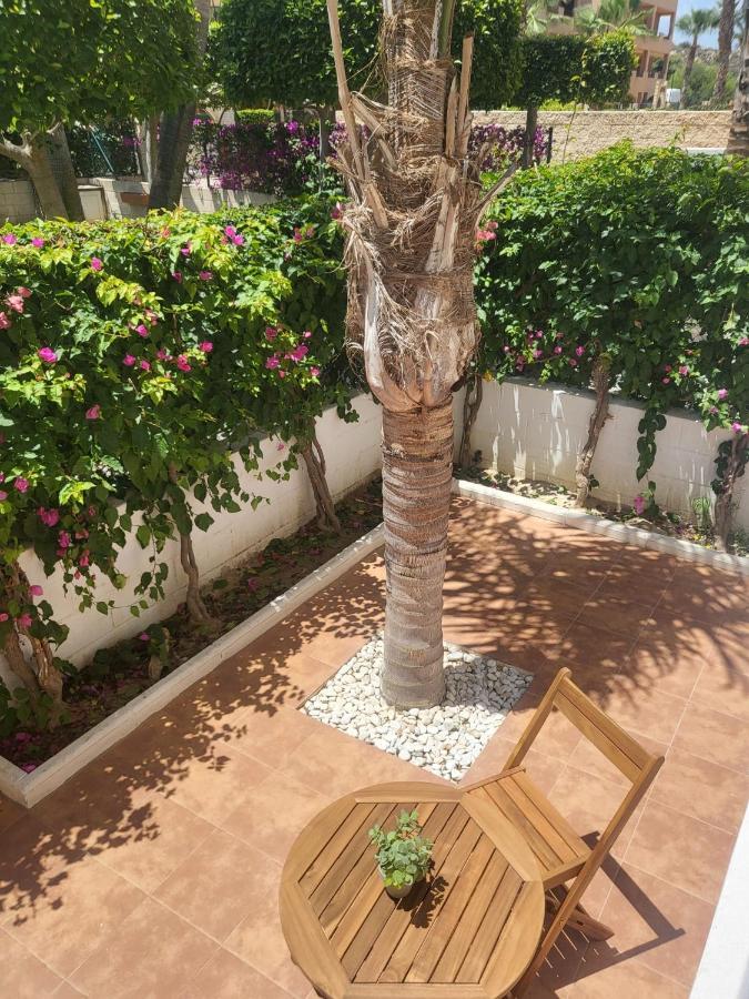 ¡Bajo Precioso Con Salida Directa A La Piscina Comunitaria En Paraiso De Vera! Eksteriør bilde