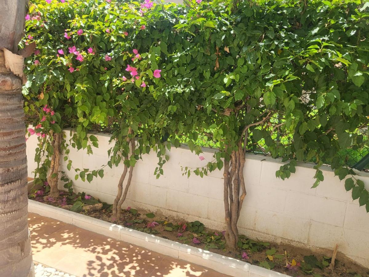 ¡Bajo Precioso Con Salida Directa A La Piscina Comunitaria En Paraiso De Vera! Eksteriør bilde